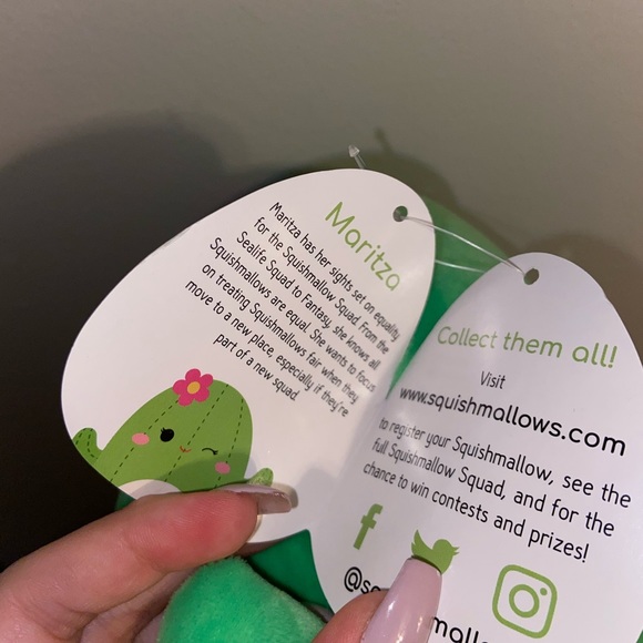 SOLD🌟Maritza the Cactus Squishmallow - Picture 4 of 4